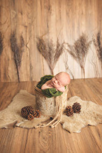 Precious baby laying in a birch bucket in a rustic themed newborn position during his photoshoot