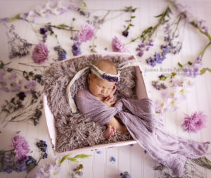 A newborn baby girl in a pink bucket swaddled and surrounded by flowers. Captured by Joanna Booth Photography